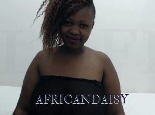AFRICANDAISY