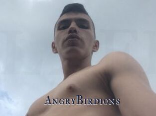 AngryBirdions