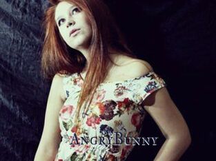 AngryBunny