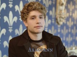 Aragornn