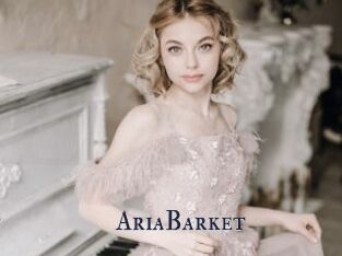 AriaBarket