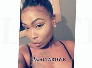 Acacia_rowe