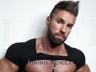 Adonis_muscles