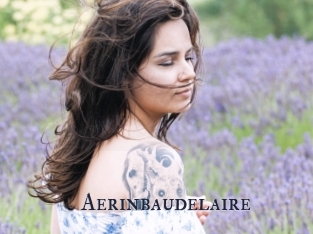 Aerinbaudelaire