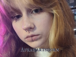 Afrahartshorn
