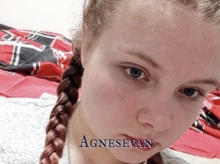 Agnesevan