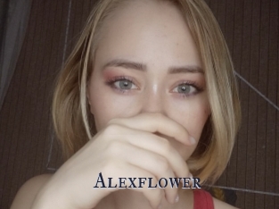 Alexflower