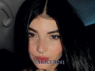 Alicerosi
