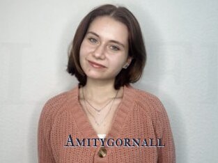 Amitygornall