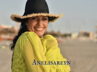 Anelisareyn