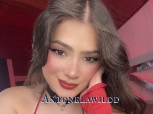 Antonelawildd