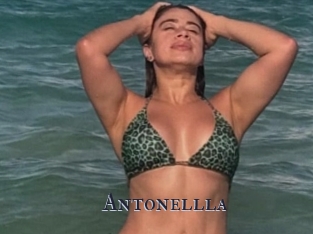 Antonellla