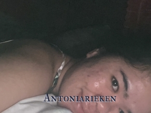 Antoniarieken