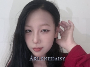 Arlenedaisy