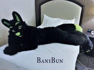 BaniBun