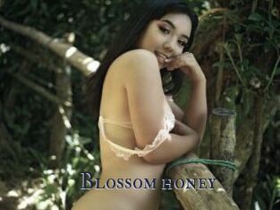 Blossom_honey
