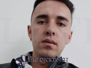 Big_dicktop23
