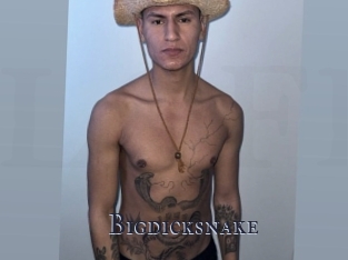 Bigdicksnake