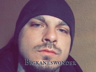 Bigkaneswonder