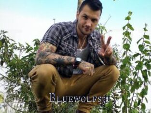 Bluewolfs31