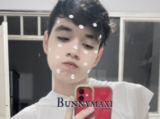 Bunnymaxi
