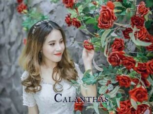 Calanthas