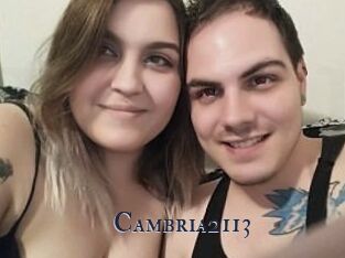 Cambria2113