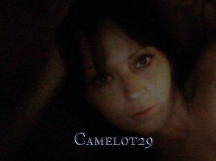 Camelot29