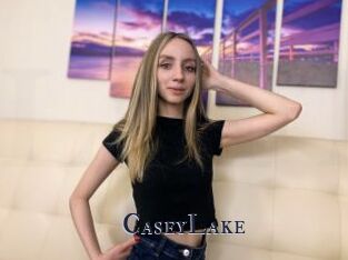 CaseyLake