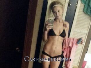 Cashmerebunny
