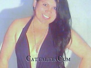 CattaleyaCum