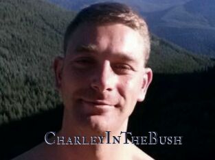 CharleyInTheBush