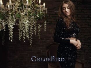 ChloeBird