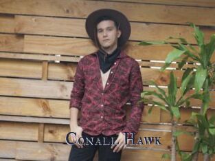 Conall_Hawk