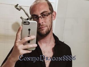 ConejoDragon8886