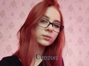 Cuddise
