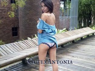 CutexAntonia