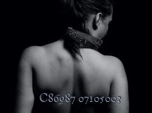 C86987-07105003