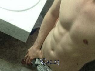 Cal23