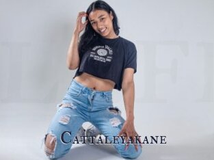 Cattaleyakane