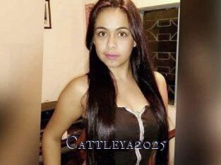Cattleya2025