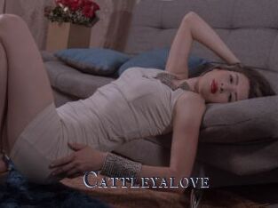 Cattleyalove