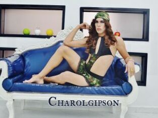Charolgipson