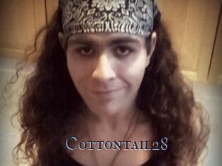 Cottontail28