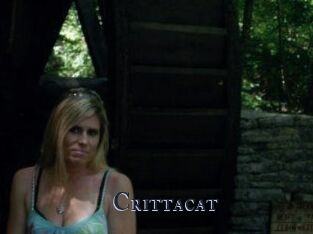 Crittacat
