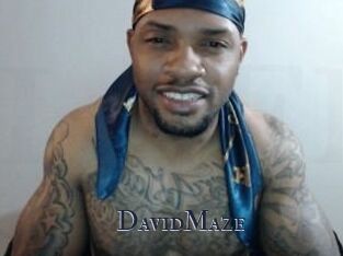 David_Maze