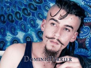 DominicTerrier