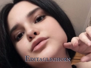 Editagleghorn
