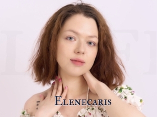 Elenecaris
