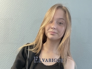 Elvabigge
